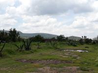 Finca-Rancho en venta en Zempoala Centro, Zempoala — foto 3 de 95