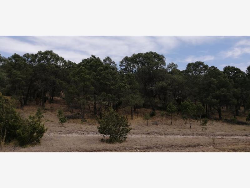 Terreno en venta en Artesillas, Arteaga — foto 1 de 9