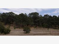 Terreno en venta en Artesillas, Arteaga, Coahuila de Zaragoza