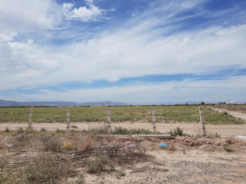 Terreno en venta Ejido el Olivo, Torreón, Coahuila de Zaragoza, México