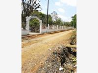 Terreno en venta en Amatlán de los Reyes Centro, Amatlán de los Reyes, Veracruz de Ignacio de la Llave