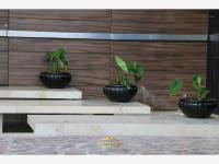 Casa en venta en La Campiña del Bosque, León — foto 2 de 14