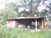 Terreno en venta en Cuauhtémoc, Córdoba — foto 3 de 13