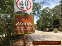 Local en venta en Aldea Zama, Tulum — foto 3 de 5
