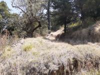 Terreno en venta en San Miguel, Ocoyoacac — foto 2 de 7