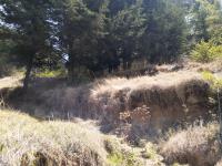 Terreno en venta en San Miguel, Ocoyoacac — foto 3 de 7