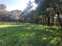 Terreno en venta en Santa Maria Mazatla, Jilotzingo — foto 3 de 6