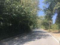 Terreno en Olinala, San Pedro Garza García, Nuevo León