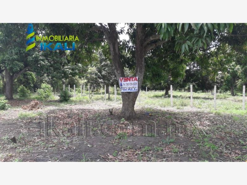 Terreno en venta en Ricardo Flores Magon, Tihuatlán — foto 1 de 15
