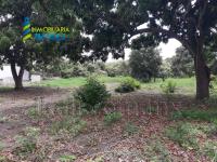 Terreno en venta en Ricardo Flores Magon, Tihuatlán — foto 2 de 15