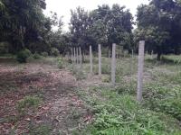 Terreno en venta en Ricardo Flores Magon, Tihuatlán — foto 3 de 15