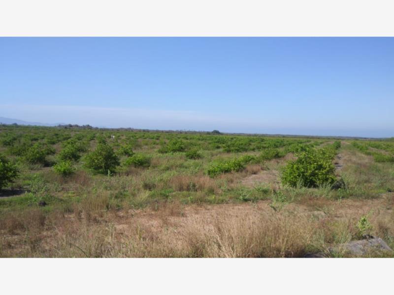 Terreno en venta en Cerro de Ortega, Tecomán
