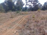 Terreno en venta en Joya de los Molinos, Pátzcuaro — foto 2 de 4