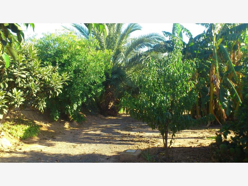 Terreno en venta en Tecoman Centro, Tecomán