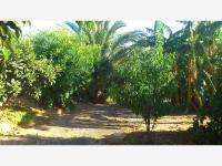 Terreno en venta en Tecoman Centro, Tecomán, Colima