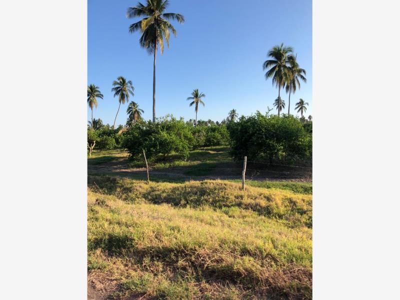 Terreno en venta en Cerro de Ortega, Tecomán