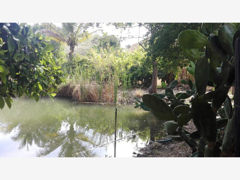 Terreno en venta en El Mixcuate, Villa de Álvarez