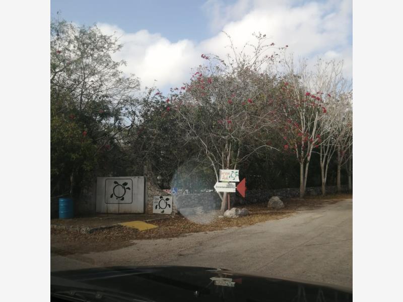 Terreno en venta en Xcunya, Mérida — foto 1 de 12