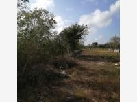 Terreno en venta en Xcunya, Mérida — foto 3 de 12