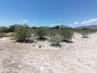 Terreno en venta en Quintas San Isidro, Lerdo — foto 2 de 4