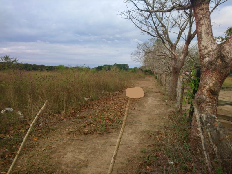 Terreno en venta en Jamapa, Jamapa — foto 1 de 5