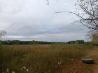 Terreno en venta en Jamapa, Jamapa — foto 2 de 5