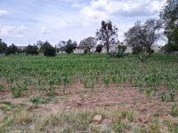 Terreno en venta en San Jose Tetel, Yauhquemehcan — foto 2 de 9