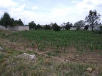 Terreno en venta en San Jose Tetel, Yauhquemehcan — foto 3 de 9