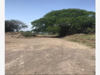 Terreno en venta en Chiapa, Cuauhtémoc, Colima Terreno en venta en Chiapa, Cuauhtémoc, Colima