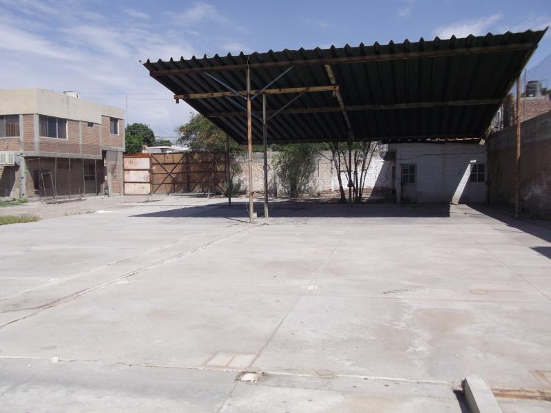 Terreno en renta en Eduardo Guerra, Torreón — foto 1 de 11