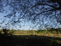 Terreno en venta en El Aguacatal, Carmen — foto 3 de 11