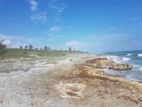 Terreno en venta en Paa Mul, Playa del Carmen — foto 2 de 5