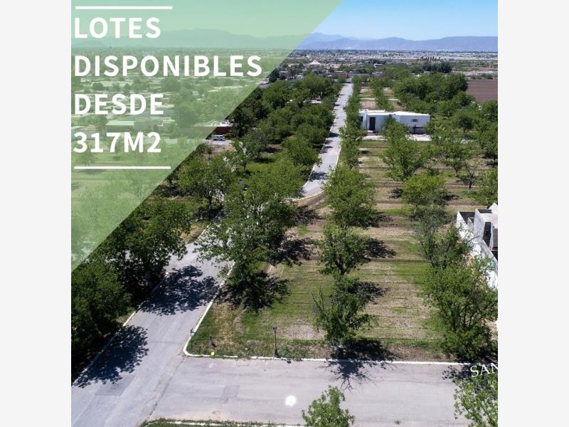 Vista 2 de Terreno en Venta en San Armando, Torreón, Coahuila de Zaragoza