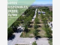 Terreno en venta en San Armando, Torreón — foto 2 de 3