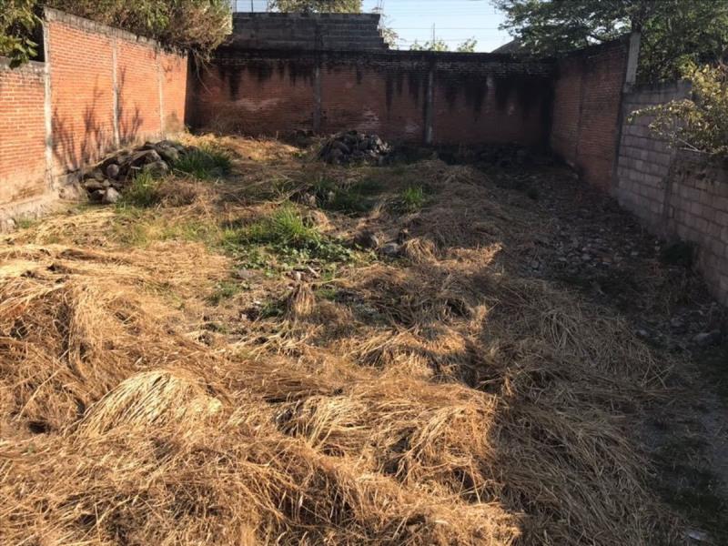 Terreno en venta en Tres de Mayo, Emiliano Zapata — foto 1 de 7
