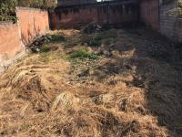 Terreno en venta en Tres de Mayo, Emiliano Zapata — foto 2 de 7