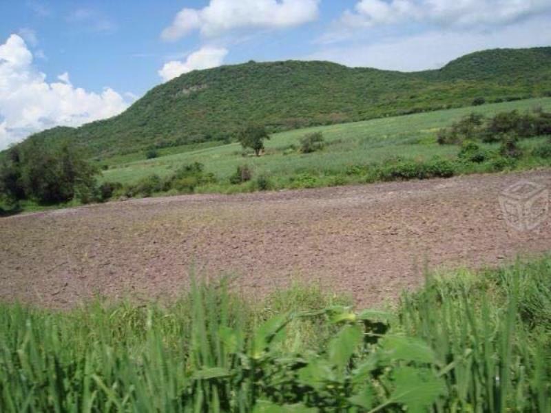 Terreno en venta en Santa Rosa Treinta, Tlaltizapán de Zapata — foto 1 de 13