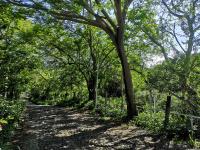 Terreno en venta en Carretera Comala - Villa de Alvarez, Comala — foto 3 de 3