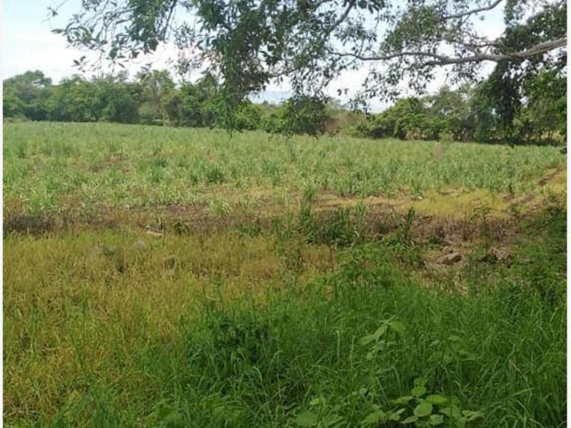 Terreno en venta en El Chivato (Providencia), Villa de Álvarez