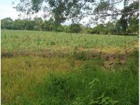 Terreno en venta en El Chivato (Providencia), Villa de Álvarez, Colima