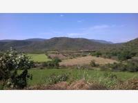 Finca-Rancho en remate en Santa Rosa Treinta, Tlaltizapán de Zapata, Morelos