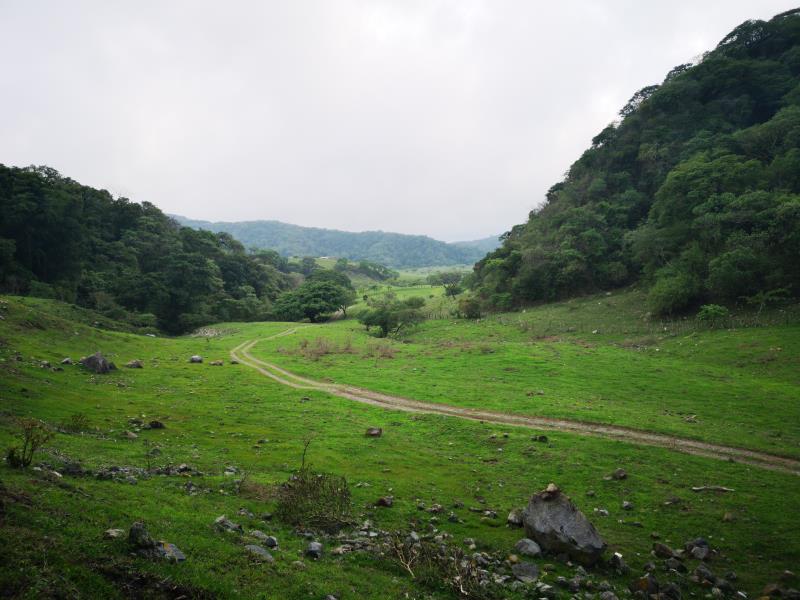Terreno en venta en Carretera Comala - San José del Carmen, Comala — foto 1 de 6
