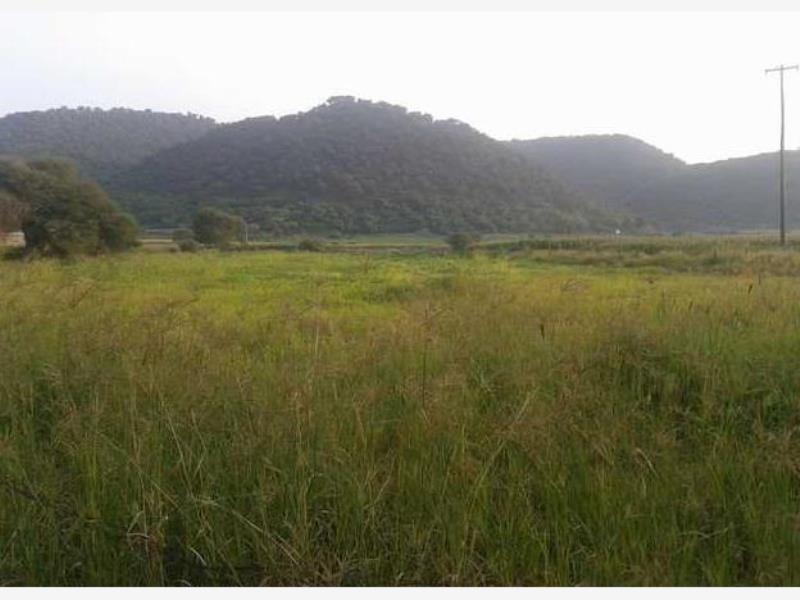 Terreno en venta en San Isidro Mazatepec, Tala — foto 1 de 8