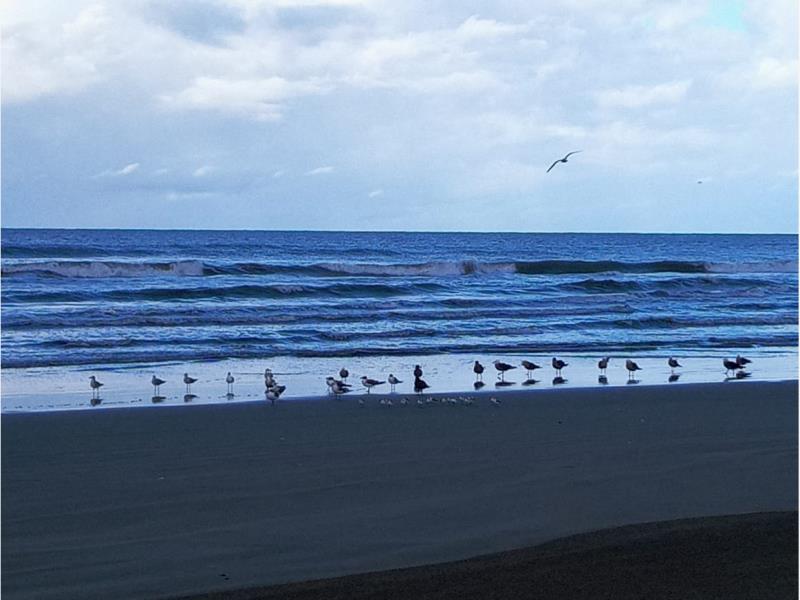 Terreno en venta en Playa Novillero, Tecuala — foto 1 de 6