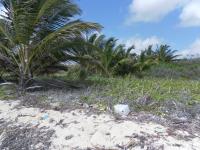 Terreno en venta en Mahahual, Othón P. Blanco — foto 2 de 4