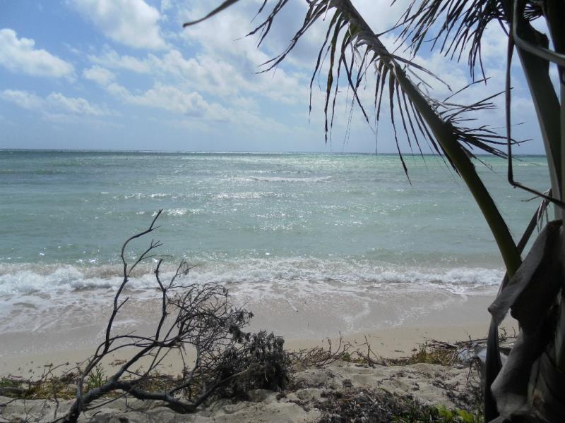 Terreno en venta en Mahahual, Othón P. Blanco — foto 1 de 4