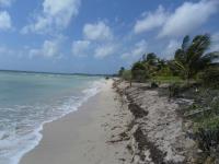 Terreno en venta en Mahahual, Othón P. Blanco — foto 3 de 4