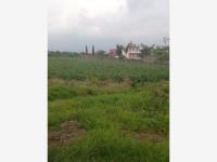 Terreno en venta en Tlayacapan Centro, Tlayacapan — foto 2 de 4