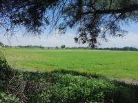 Terreno en venta en La Huaracha, León — foto 3 de 30