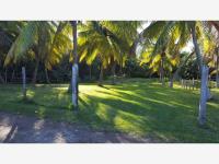 Terreno en venta en Luis Echeverría Álvarez, Othón P. Blanco — foto 2 de 9